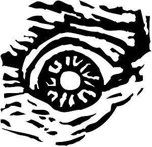Evil Eye