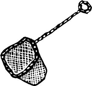Fish Net