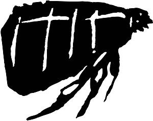 Flea 2