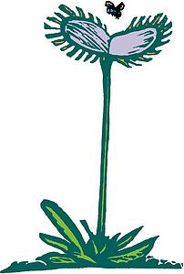 Fly Trap
