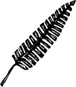 Frond 1