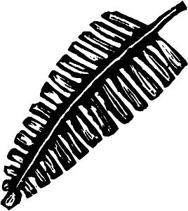 Frond 2
