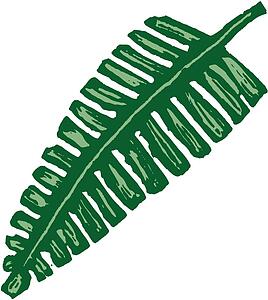 Frond 2