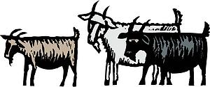 Goat Gruff