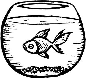 Goldfish