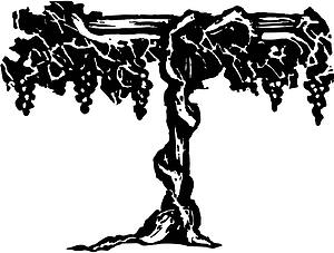 Grapevine