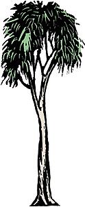 Gum Tree