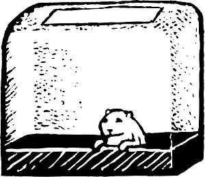 Hamster 3