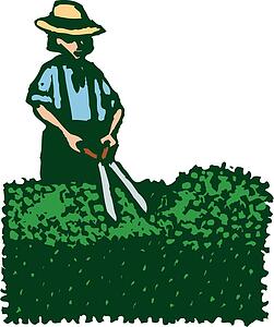 Hedge Clip