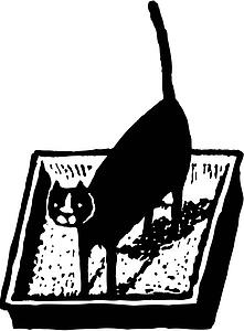 Kitty Box