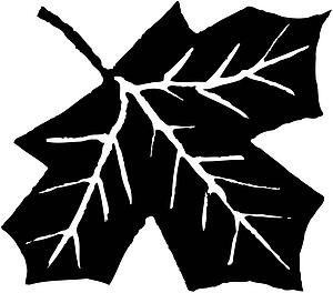 Leaf 12