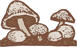 Mushroom 1