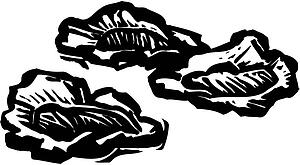 Oysters 2