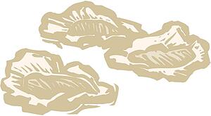 Oysters 2