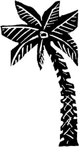 Palm 4