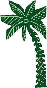 Palm 4
