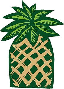 Palm 5