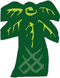 Palm Tree