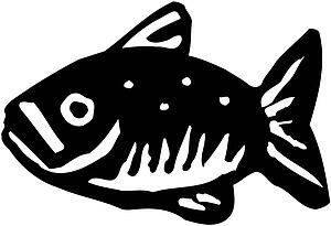 Perch