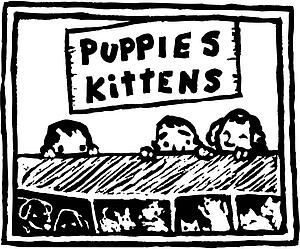 Pet Store 2