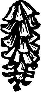 Pine Cone