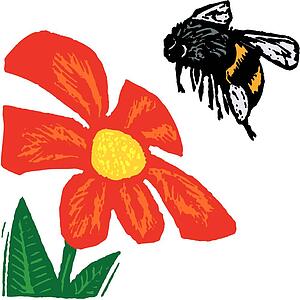 Pollen