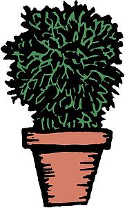 Potted Plant