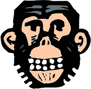 Primate