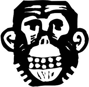 Primate
