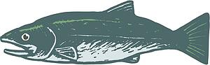 Salmon 3