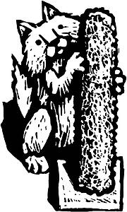 Scratching Post