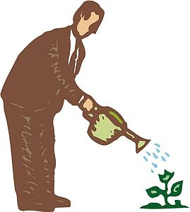 Seed Money