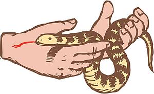 Snake 2