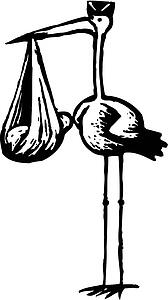 Stork