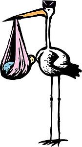 Stork