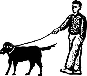 Stroll