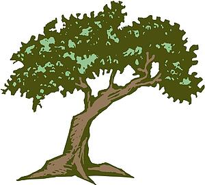 Tree 3