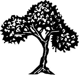 Tree 5
