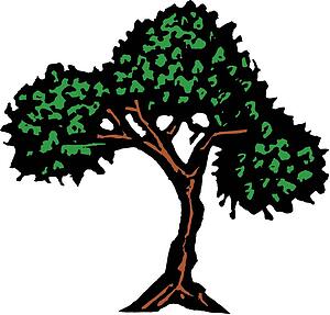 Tree 5