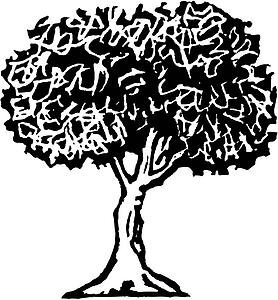 Tree 6