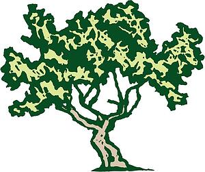 Tree 8