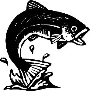 Trout