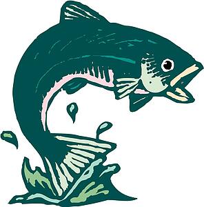Trout
