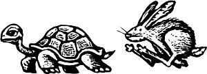 Turtle & Hare