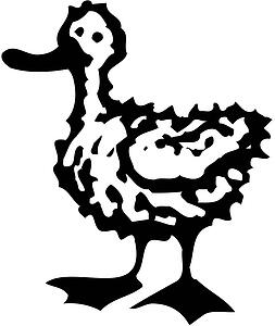 Ugly Duckling