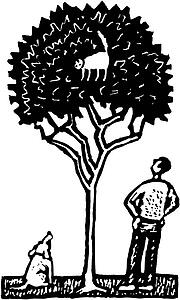 Up a Tree
