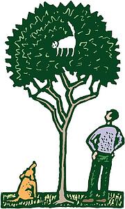 Up a Tree