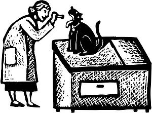 Vet