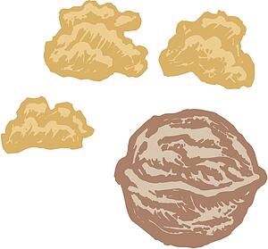 Walnut