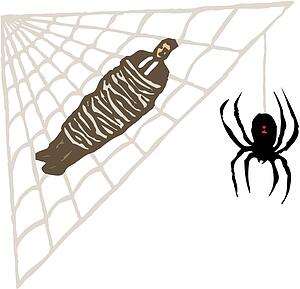 Web of Lies
